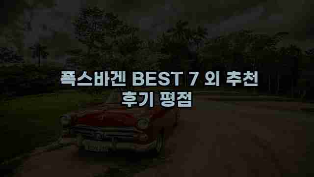  폭스바겐 BEST 7 외 추천 후기 평점