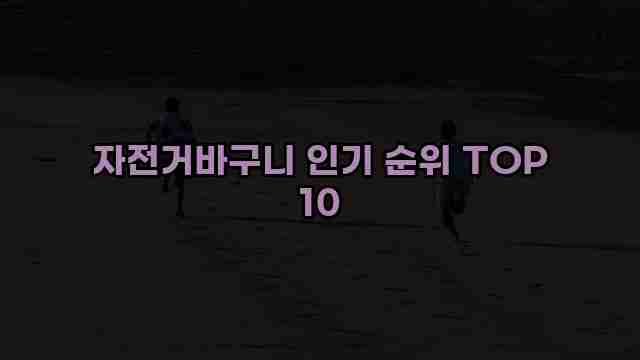 자전거바구니 인기 순위 TOP 10