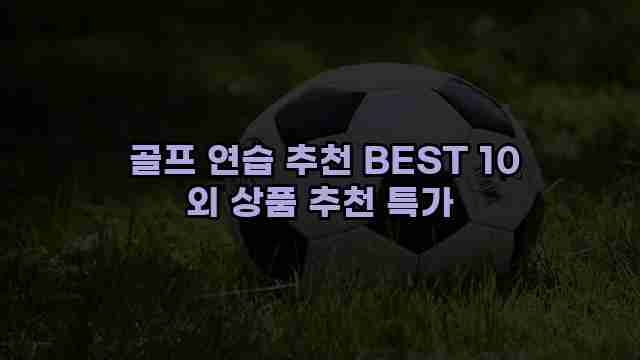  골프 연습 추천 BEST 10 외 상품 추천 특가