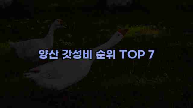 양산 갓성비 순위 TOP 7