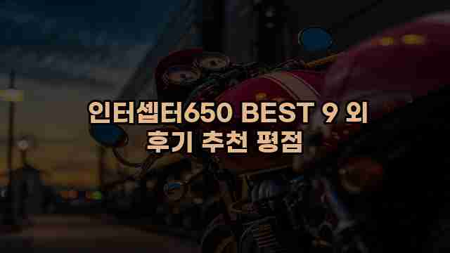  인터셉터650 BEST 9 외 후기 추천 평점