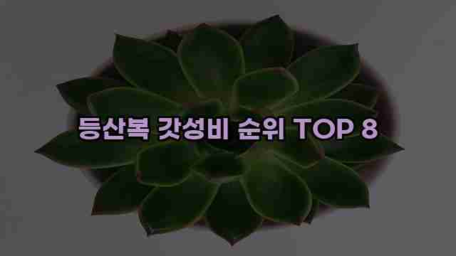 등산복 갓성비 순위 TOP 8