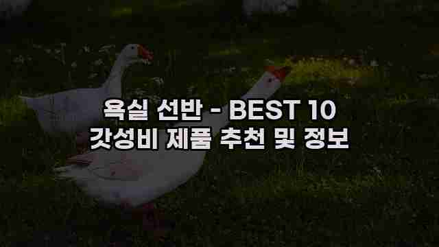 욕실 선반 - BEST 10 갓성비 제품 추천 및 정보