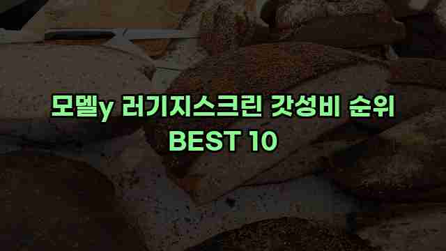 모델y 러기지스크린 갓성비 순위 BEST 10