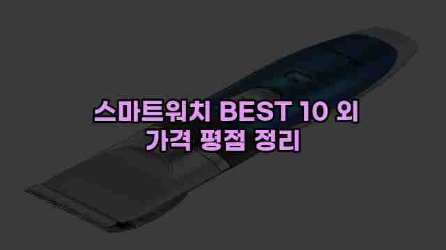  스마트워치 BEST 10 외 가격 평점 정리