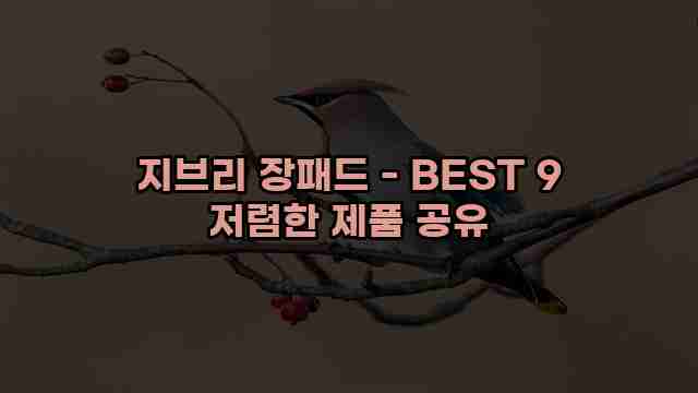 지브리 장패드 - BEST 9 저렴한 제품 공유