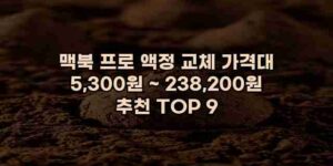 우니재의 알리알리 알리숑 - 38040 - 2024년 11월 27일 15