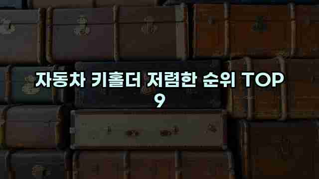 자동차 키홀더 저렴한 순위 TOP 9