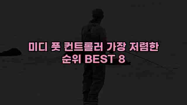 미디 풋 컨트롤러 가장 저렴한 순위 BEST 8