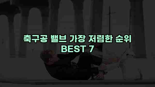 축구공 밸브 가장 저렴한 순위 BEST 7