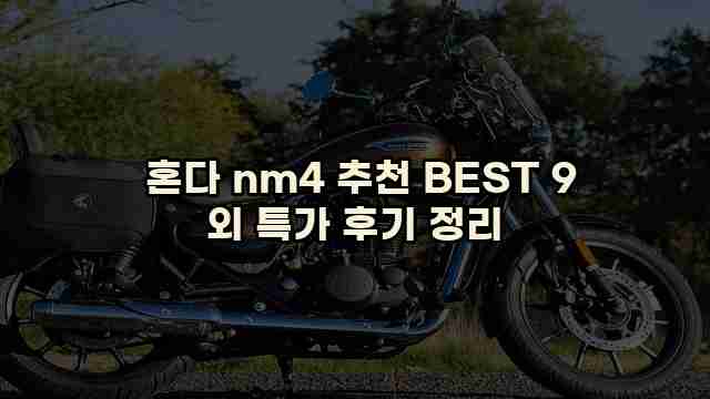  혼다 nm4 추천 BEST 9 외 특가 후기 정리