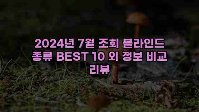 2024년 7월 조회 블라인드 종류 BEST 10 외 정보 비교 리뷰