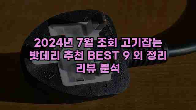 2024년 7월 조회 고기잡는 밧데리 추천 BEST 9 외 정리 리뷰 분석