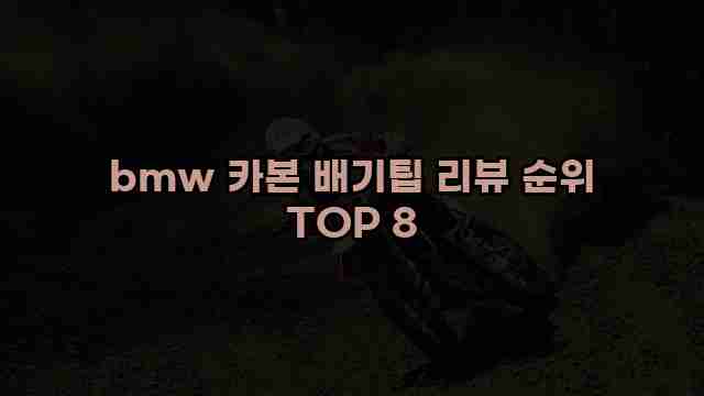 bmw 카본 배기팁 리뷰 순위 TOP 8