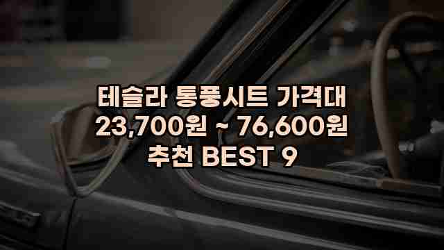 테슬라 통풍시트 가격대 23,700원 ~ 76,600원 추천 BEST 9