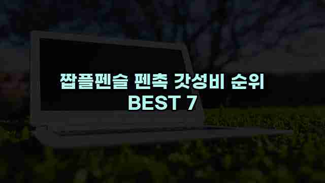 짭플펜슬 펜촉 갓성비 순위 BEST 7