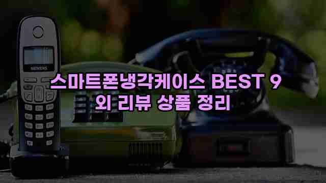  스마트폰냉각케이스 BEST 9 외 리뷰 상품 정리