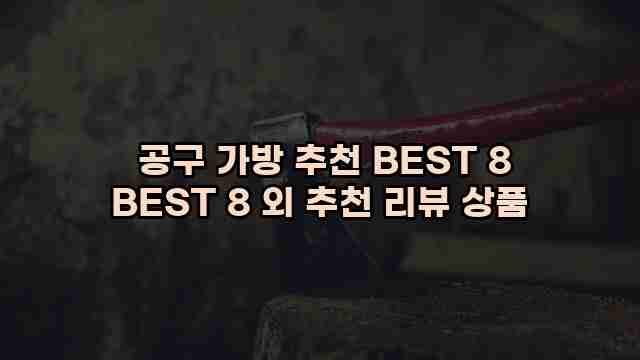  공구 가방 추천 BEST 8 BEST 8 외 추천 리뷰 상품