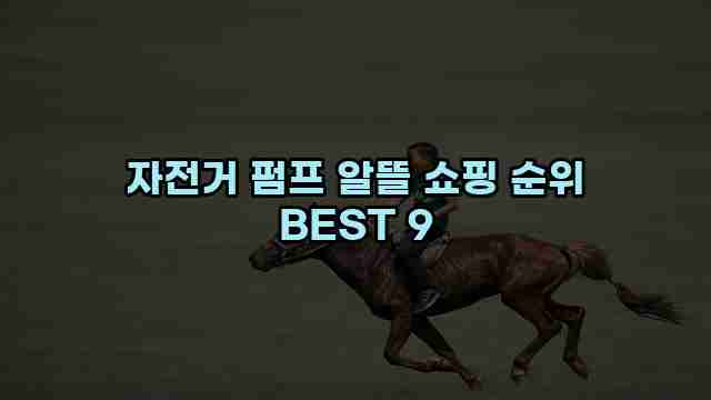 자전거 펌프 알뜰 쇼핑 순위 BEST 9