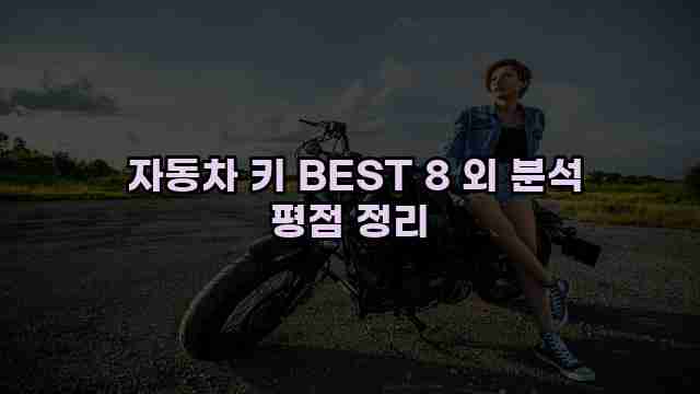  자동차 키 BEST 8 외 분석 평점 정리