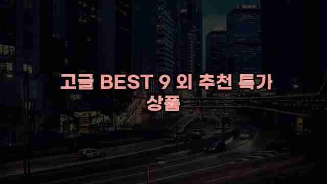  고글 BEST 9 외 추천 특가 상품