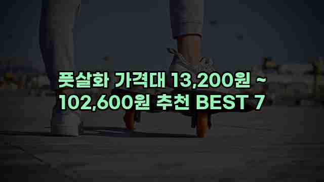 풋살화 가격대 13,200원 ~ 102,600원 추천 BEST 7