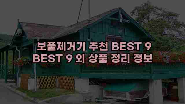  보풀제거기 추천 BEST 9 BEST 9 외 상품 정리 정보