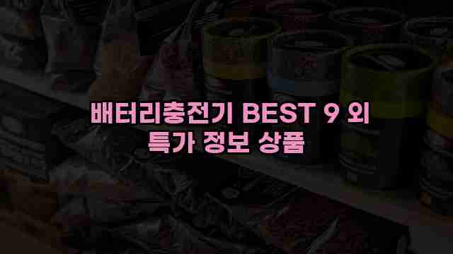  배터리충전기 BEST 9 외 특가 정보 상품