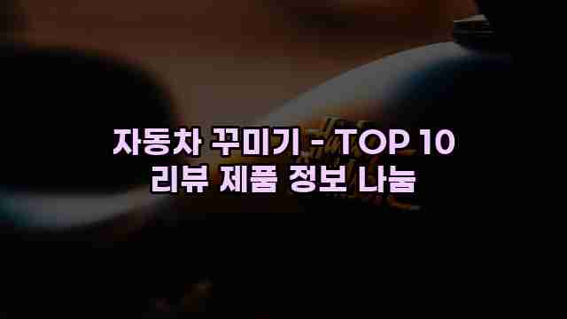 자동차 꾸미기 - TOP 10 리뷰 제품 정보 나눔