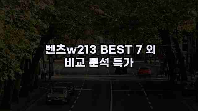  벤츠w213 BEST 7 외 비교 분석 특가