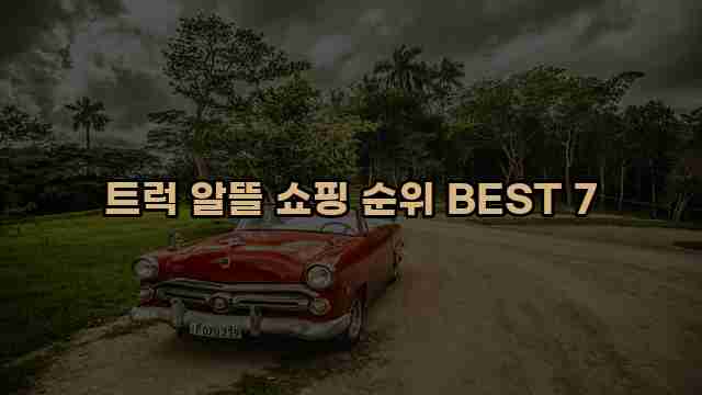 트럭 알뜰 쇼핑 순위 BEST 7