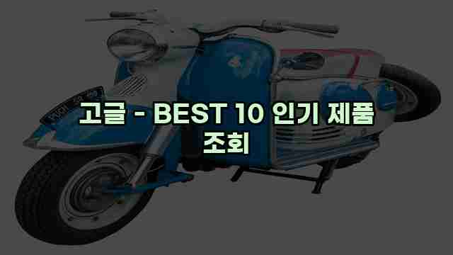 고글 - BEST 10 인기 제품 조회