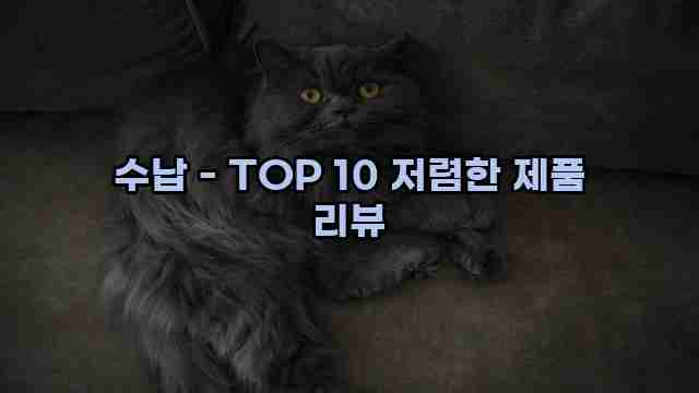 수납 - TOP 10 저렴한 제품 리뷰