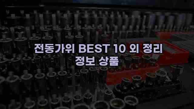  전동가위 BEST 10 외 정리 정보 상품