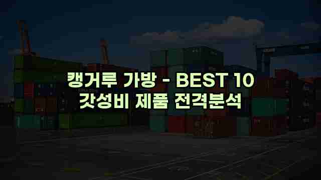 캥거루 가방 - BEST 10 갓성비 제품 전격분석