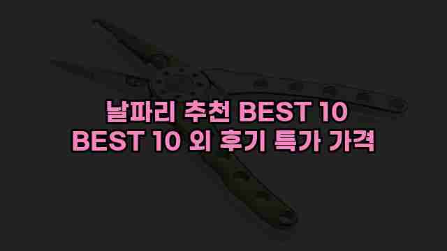  날파리 추천 BEST 10 BEST 10 외 후기 특가 가격