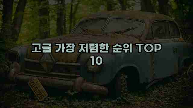 고글 가장 저렴한 순위 TOP 10