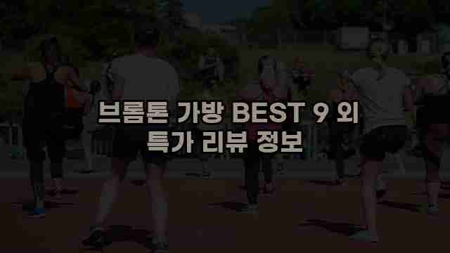  브롬톤 가방 BEST 9 외 특가 리뷰 정보