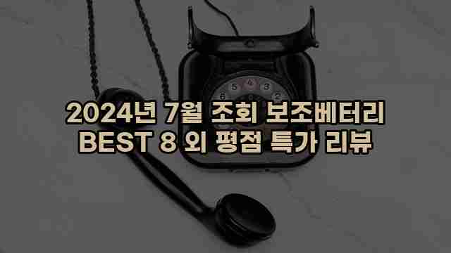 2024년 7월 조회 보조베터리 BEST 8 외 평점 특가 리뷰