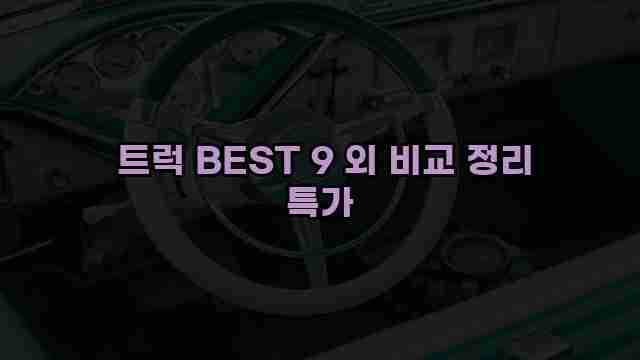  트럭 BEST 9 외 비교 정리 특가