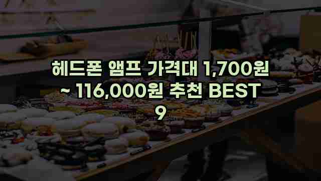 헤드폰 앰프 가격대 1,700원 ~ 116,000원 추천 BEST 9