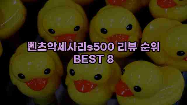 벤츠악세사리s500 리뷰 순위 BEST 8