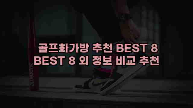  골프화가방 추천 BEST 8 BEST 8 외 정보 비교 추천