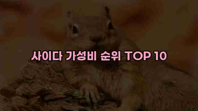 사이다 가성비 순위 TOP 10