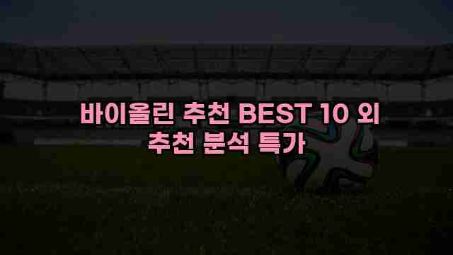  바이올린 추천 BEST 10 외 추천 분석 특가