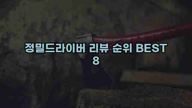 정밀드라이버 리뷰 순위 BEST 8