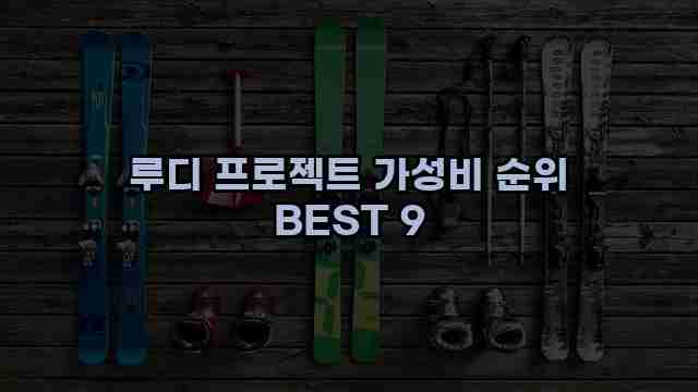 루디 프로젝트 가성비 순위 BEST 9