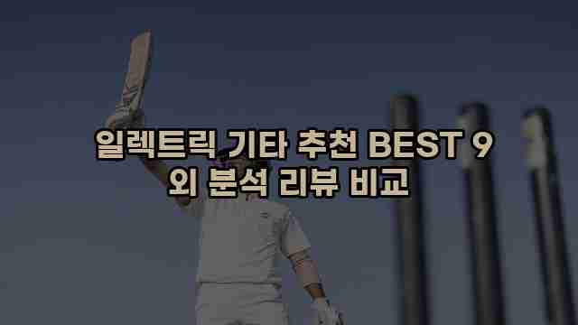  일렉트릭 기타 추천 BEST 9 외 분석 리뷰 비교