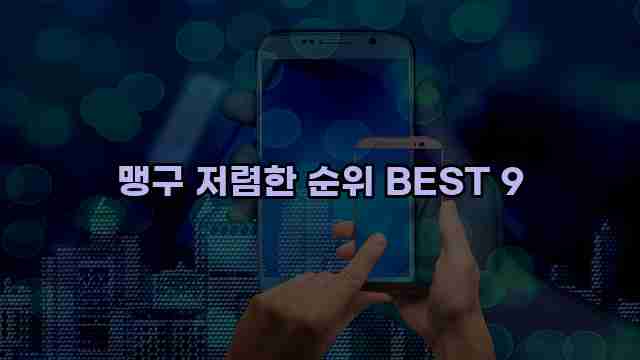 맹구 저렴한 순위 BEST 9