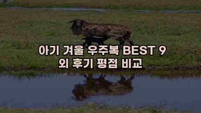  아기 겨울 우주복 BEST 9 외 후기 평점 비교